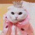 принцесса-плакса (@PrincessOnAcid) Twitter profile photo