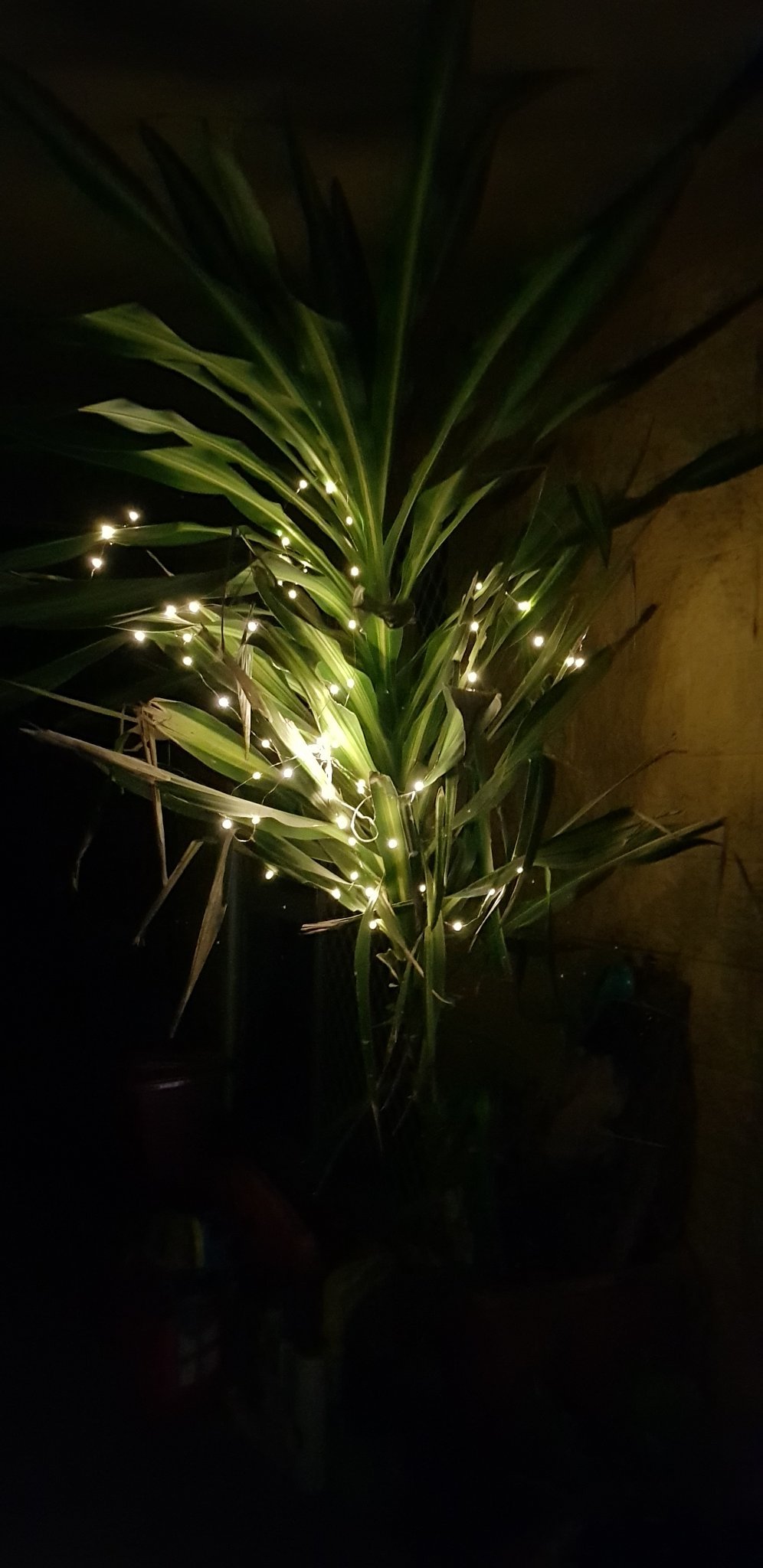 Juliero25710990's profile picture. Me🥰Mother/Grandmother/Veterans wife🚤🏊‍♀️🏍🎣🦀love animals love life❤and politics🌞#Vetsweforget💔#Justiceforwoman