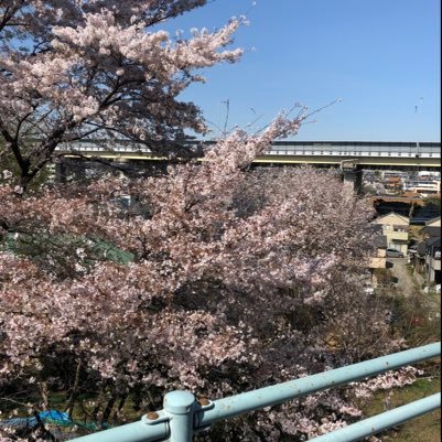 八重桜凛 アメブロを更新しました 広島戦 敗因は5回の1点 これで原監督は白旗 読売ジャイアンツ 広島東洋カープ T Co Bpk84snmcg 八重桜凛 アメブロを更新しました 広島戦 敗因は5回の1点 これで原監督は白旗 読売ジャイアンツ 広島東洋カープ T Co Bpk84snmcg