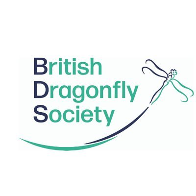 The Scottish Twitter account of the British Dragonfly Society (BDS) - conserving dragonflies, damselflies and their wetland habitats since 1983.