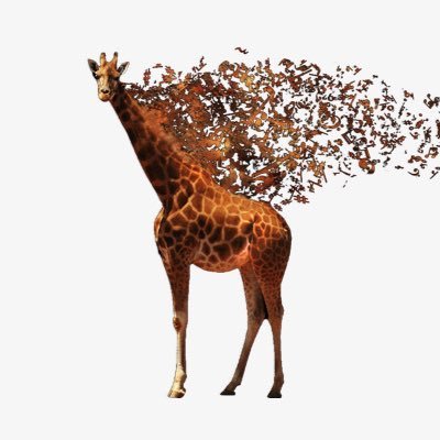 K0XqPdhJsocHhx9's profile picture. Omawlady2