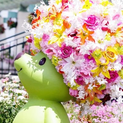 写真が好き*オールドレンズが好き*
花も風景も街も撮りたくて迷走中*