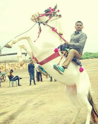 APPU89022781's profile picture. MAHADEV