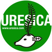 URESICA ウレシカ (@uresica) 's Twitter Profile Photo URESICA ウレシカ (@uresica) 's Twitter Profile Photo