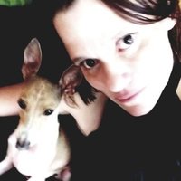 Cat Lee Tobin πΊπΈπ¨π¦π (@catleetobin1) 's Twitter Profile