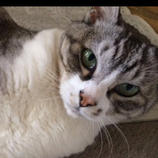 ktakeda119's profile picture. 