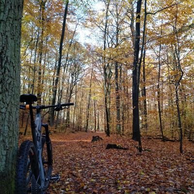 Mainz, Bike-content auf und abseits der Straße, Fotographie und Geocaching
@Lamima@mainz.social