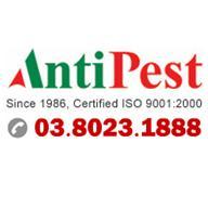 AntiPest's profile picture. Call +6(03)80231888 now for  est. 1986, ISO 9001:2000 Malaysia integrated pest & termite control: households, ISO, HACCP & GMP