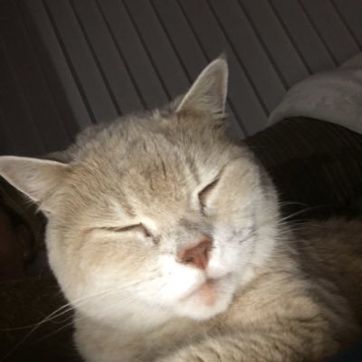 SarahJH1963's profile picture. 