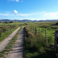Jim Martin (@ecoeire) 's Twitter Profile