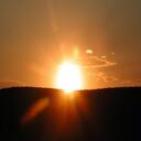 Dan Bach - @macrofloral - Twitter