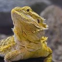 Brad - @BradleyMcneely - Twitter