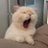 Cat_3o's profile image