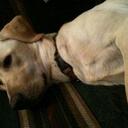 Garth Mann - @Geejle - Twitter