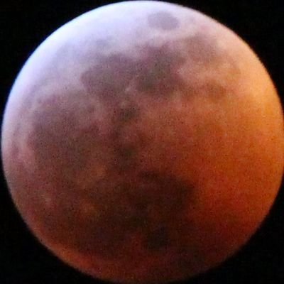 jaemsuwu's profile picture. ⸸
it is i, the rejuvenated leaf village's handsome devil ;D