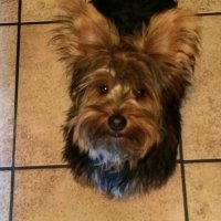 Dinorah (@dinorah19121973) 's Twitter Profile Photo Dinorah (@dinorah19121973) 's Twitter Profile Photo