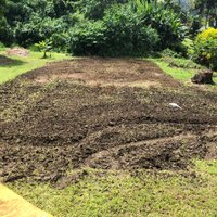 Brian B (@wailupefarms) 's Twitter Profile