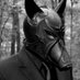 The_Big_Bad_Wolf (@bigbadwolfhowl) Twitter profile photo The_Big_Bad_Wolf (@bigbadwolfhowl) Twitter profile photo