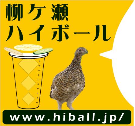 岐阜県の　街と酒場を　
おいしく、楽しくする柳ケ瀬ハイボール。
イメージキャラクター雷鳥のつぶやきです。