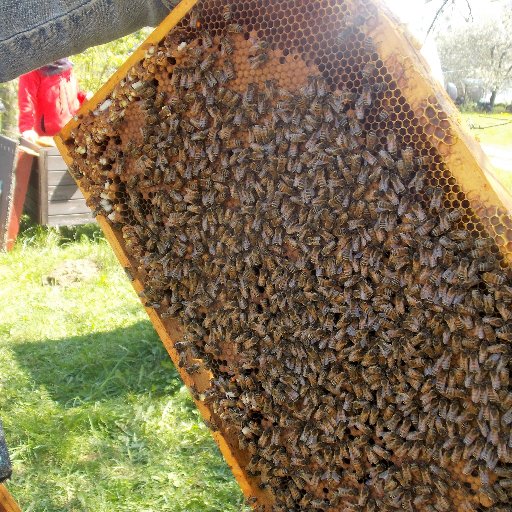 SakowiczAw's profile picture. 🇵🇱♏️👉