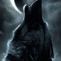 StealthWolfie (@sniperwolf300) 's Twitter Profile