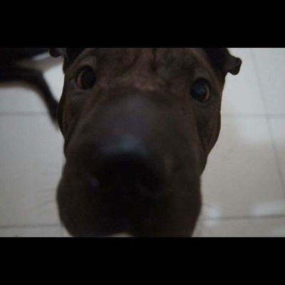 kayepmondarte's profile picture. 