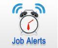 Daily tweets about freshers jobs and other information usefull for freshers