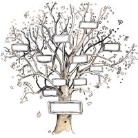 Findingmyancestors (@ancestryblog) 's Twitter Profile