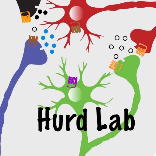 Hurd Laboratory of Addiction Neuroscience