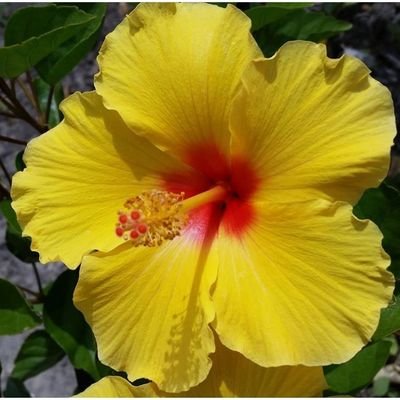 harrysonford5's profile picture. Life is very easy,when you have Jesus