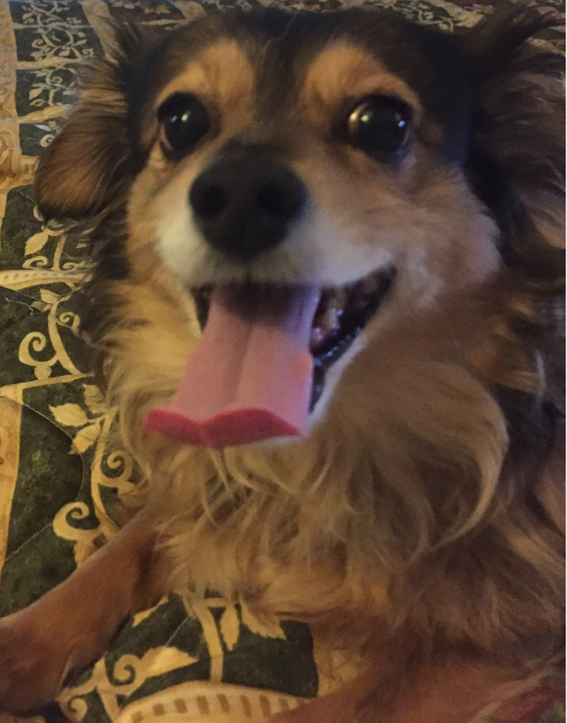 ceceliakelly522's profile picture. 