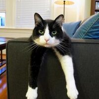 ジャムパッド (@jampad) 's Twitter Profile