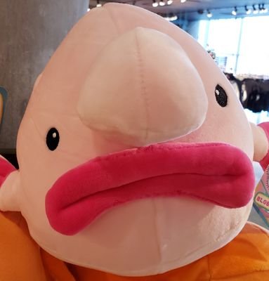 MVIO1111's profile picture. Mekka Lekka Hi, Mekka Hidey Ho
~Jambi