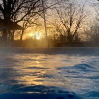 Hampton Pool(@HamptonPool) 's Twitter Profile Photo