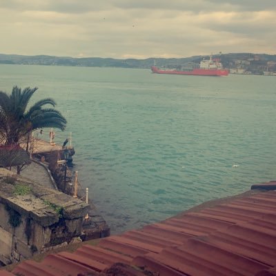 X26MrBmchhyJjdM's profile picture. بكالوريس علم نفس / ماجستير ادارة اعمال مهتمة  بالانشطة  الاجتماعيه والرياضيه اعمل بعمادة شؤون الطلاب بجامعة الملك عبدالعزيز