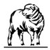 Darkan Sheepfest (@dsheepfest) Twitter profile photo Darkan Sheepfest (@dsheepfest) Twitter profile photo