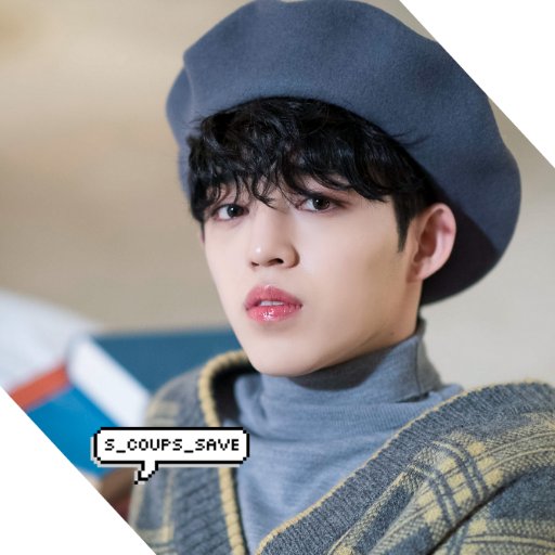 #SEVENTEEN #SCOUPS || DATA = 💘