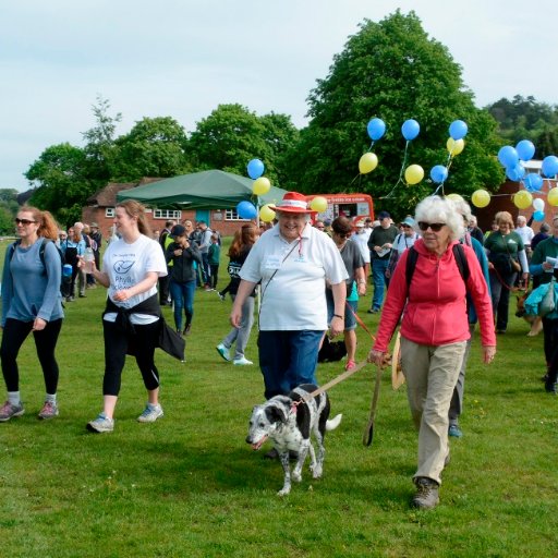 We organise the annual charity walk at Shalford Park, the School's concert at GLive, and other charity events.