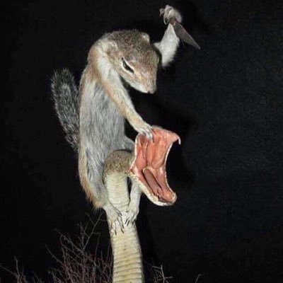 nutty_big's profile picture. B