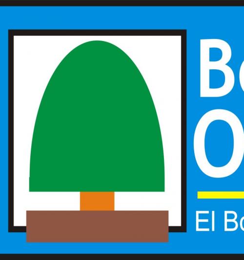 El bonsai, en català i a l'abast de tothom.