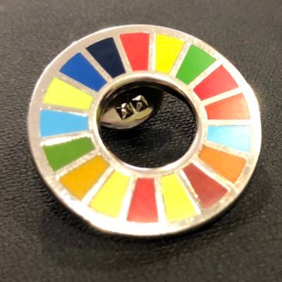 I dedicate all my energy for the SDGs. Connect - inform - act! We must do it now, with all forces 💪🏻🌍