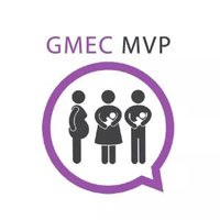 Maternity Voices GMEC(@MatVoicesGMEC) 's Twitter Profileg