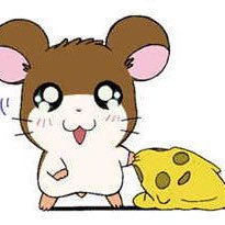 krkr66641's profile picture. 来世は吉沢亮になる