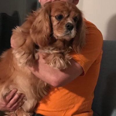 Bwaggs135's profile picture. 