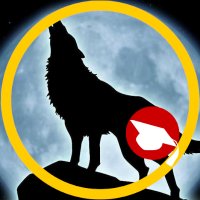 fretbunny (@fretbunny) 's Twitter Profile