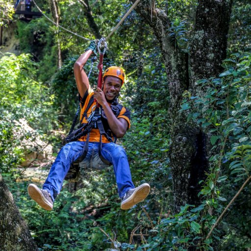 Mpumalanga’s longest Aerial Cable Trail over the forest canopy in the  Sabie River Valley OR our Tree Top Challenge high ropes course.