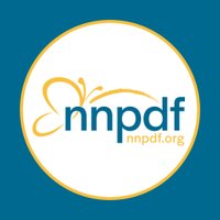 NNPDF(@nnpdf) 's Twitter Profile Photo