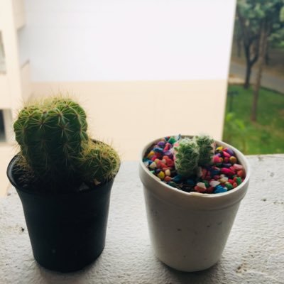 รักที่ไม่มีข้อแม้และไม่มีที่สิ้นสุด