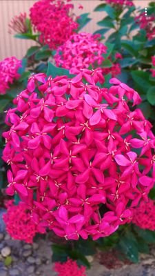 Fadak72141769's profile picture. 