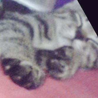 FNcP9I0FDlnYWCV's profile picture. 夫が先天性閉塞性無精子症。タイミング法→フーナーテスト精子✖️→精液検査にて無精子症→セントマザーでMicro TESE。精子・細胞✖️。AIDに進むか、やりたい事やり尽くす人生を2人で送るか絶賛迷い中。養子は考えていません。無精子症の方のみフォローリクエスト許可します。※夫婦間で授かれた方はごめんなさい。無関係垢も❌